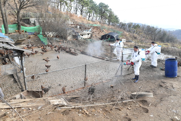 ▲ 기장군이 전국 최초로 사람과 동물을 모두 통합하는 방역전담조직을 신설한다.ⓒ기장군 제공