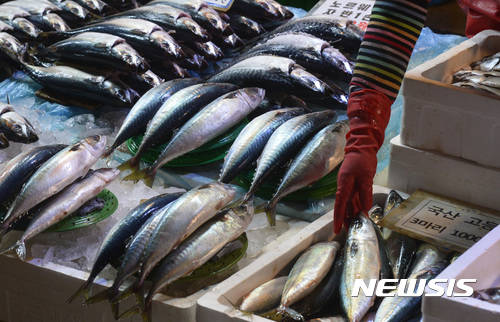 ▲ 노량진수산시장에서 한 상인이 고등어를 진열하고 있다. ⓒ 뉴시스