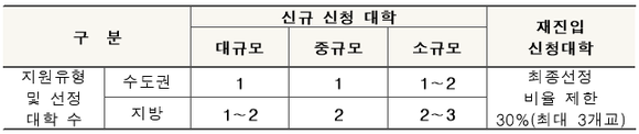 ▲ '대학자율역량강화지원(ACE+) 사업' 신규 대학 지원 유형. ⓒ교육부