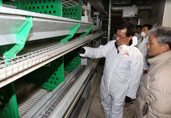 ▲ 이시종 충북도지사가 새해 첫날인 지난 1일 AI가 발생한 산란계 농장을 방문해 현장 점검을 하고 있다.ⓒ충북도