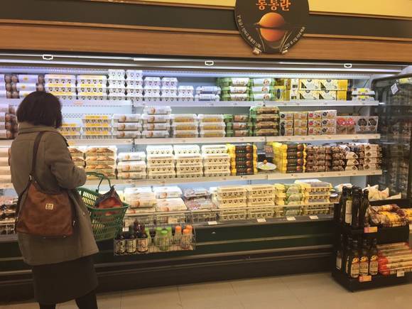 ▲ ⓒ뉴데일리경제