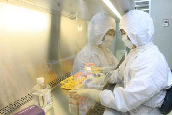 ▲ 사진은 기사와 무관. ⓒ뉴데일리경제DB