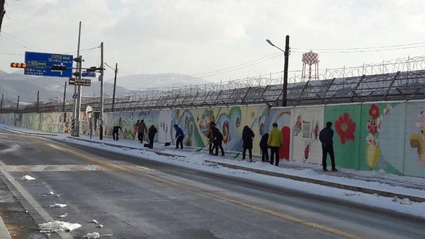 ▲ 칠곡군은 지난 22일 직원 700여명과 제설차량 등 장비 37대를 긴급 투입해 주요도로 및 시가지에 제설작업을 실시했다.ⓒ칠곡군 제공