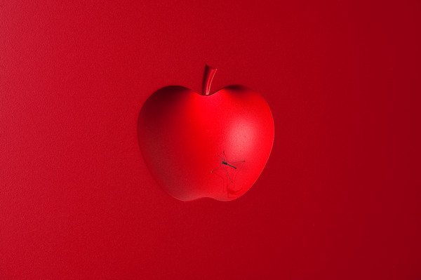 ▲ 강대영-luce(빛).ⓒ대구문화재단 제공