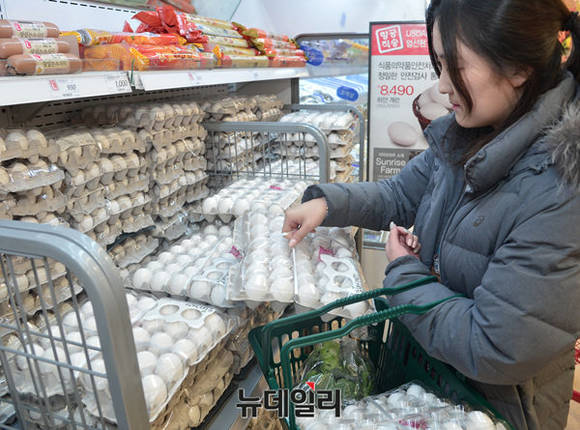 ▲ 롯데마트가 23일부터 미국산 수입 계란 판매에 나섰다. ⓒ공준표 기자