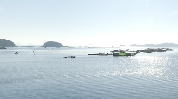 ▲ 천수만 이근에 있는 담수호인 부남호 전경.ⓒ충남도