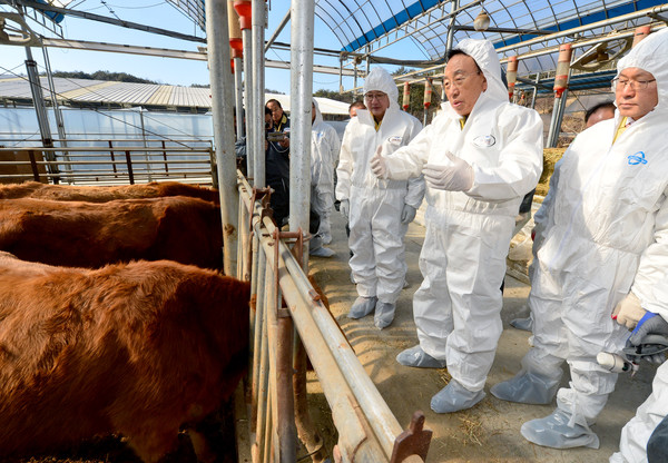 ▲ 김관용 경북도지사(오른쪽 두번째)가 11일 안동시 와룡면 한우농장을 직접 방문해 구제역 예방접종 추진상황을 점검했다.ⓒ경북도 제공