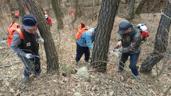 ▲ 구미시는 소나무재선충병 확산방지를 위해 2월부터 3월초까지 나무주사사업을 실시한다.ⓒ구미시 제공