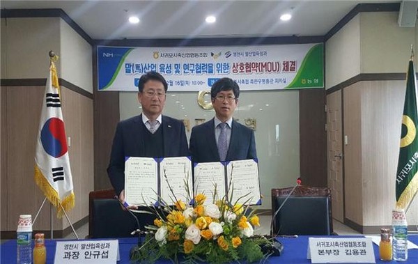 ▲ 영천시는 지난 16일 국내 최초 말산업특구 지역인 제주특별자치도 서귀포시축협과 운주산승마조련센터 활성화와 제주한라마 내륙거점 유통 전초기지화를 위한 협약을 체결했다.ⓒ영천시 제공