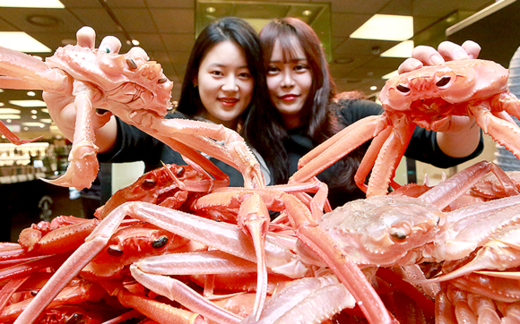 ▲ 19일 오전 압구정본점 지하1층 행사장에서 모델들이 살아있는 신선한 '대게'와 '홍게'를 선보이고 있다. ⓒ현대백화점