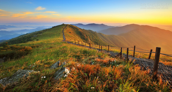 ▲ 소백산 비로봉 일원 가을 모습.ⓒ소백산국립공원 북부사무소