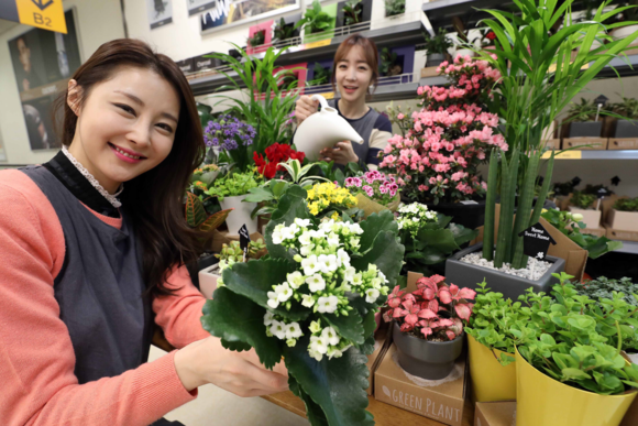 ▲ 20일 오전 서울 한강로 이마트 용산점에서 모델들이 봄 분위기를 연출할 수 있는홈 가드닝 제품을 선보이고 있다. ⓒ이마트