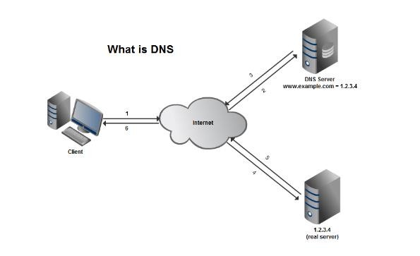 ▲ DNS서비스 화면 ⓒ뉴데일리DB