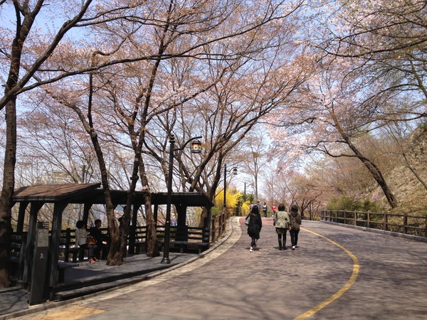 ▲ 남산 북측 순환로. ⓒ서울시 제공