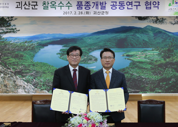 ▲ 괴산군과 농촌진흥청 국립식량과학원이 28일 괴산군 찰옥수수 품종개발 공동연구를 위한 상호 업무협약을 가졌다.ⓒ괴산군