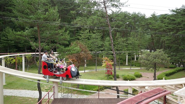 ▲ 시설을 보강하고 다시 문을 연 보은 속리산 솔향공원 스카이바이크.ⓒ보은군