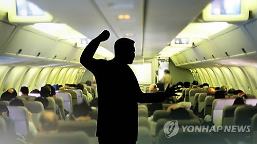 ▲ 기내난동을 하는 승객 ⓒ연합뉴스