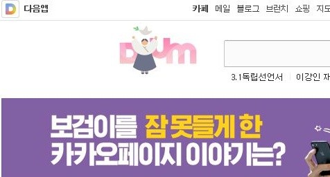 ▲ 지난 3.1절 다음카카오의 프론트 페이지 캡처 화면. 상단에 태극기 없이 만세를 부르는 유관순 열사의 이미지가 올라와 있다.