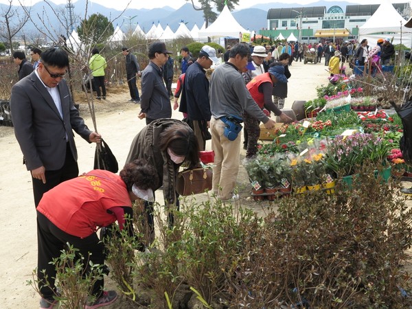 ▲ 지난해 열린 묘목 축제장 모습.ⓒ옥천군
