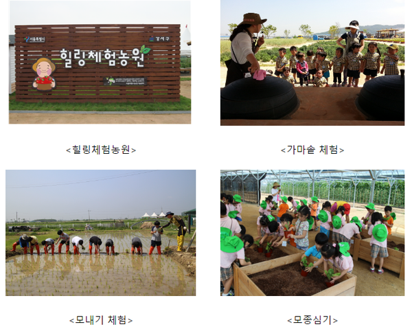 ▲ 힐링체험농장. ⓒ 서울시 제공