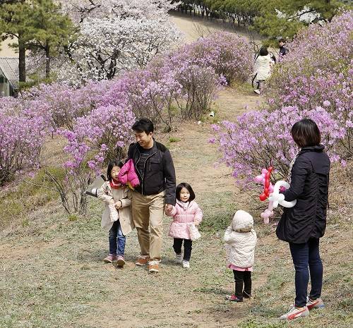 ▲ 지난해 진행된 효성 안양공장 진달래축제를 찾은 지역민들이 즐거운 한때를 보내고 있다. ⓒ효성