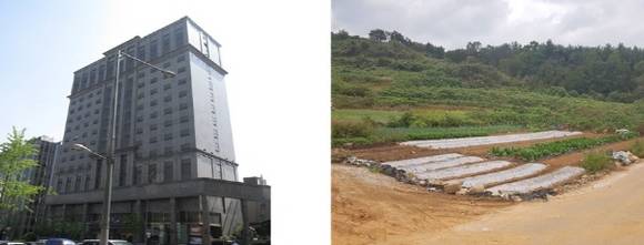 ▲ 강남 역삼동 옛 파고다호텔 전경(왼쪽)과 경남 고성군 삼산면 소재 임야(오른쪽). ⓒ 지지옥션