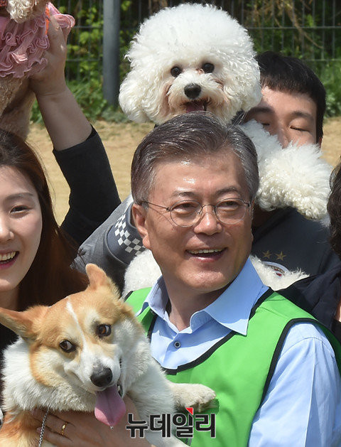 ▲ 더불어민주당 문재인 대선후보가 15일 오전 서울 마포구 상암월드컵공원내 반려견 놀이터에서 반려동물정책을 발표한 뒤 기념촬영을 하고 있다. ⓒ이종현 기자