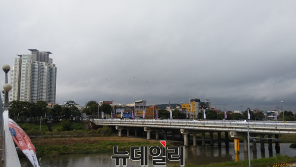 ▲ 무심천과 청주대교.ⓒ김동식 기자