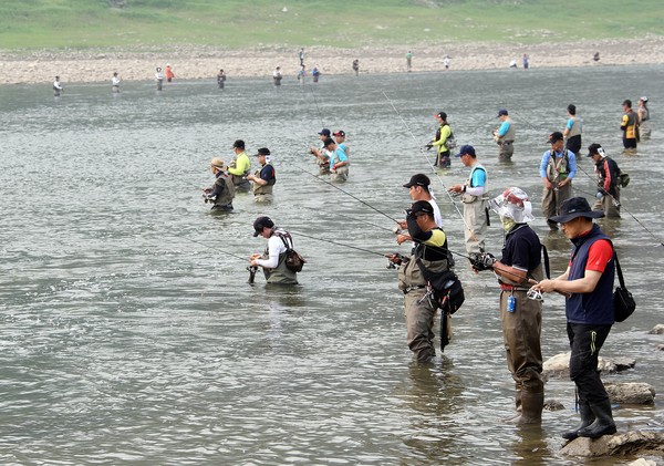 ▲ 지난해 쏘가리낚시 대회에 참가한 강태공들 모습.ⓒ단양군