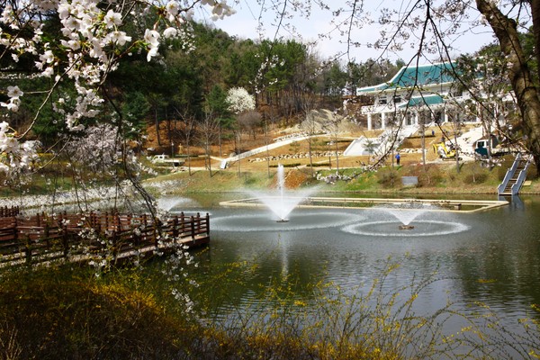 ▲ 대통령 별장 청남대의 봄 풍경.ⓒ충북도