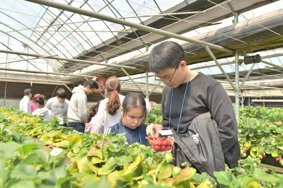 ▲ SK네트웍스 신입사원들이 시각장애 아동들과 딸기농장을 체험하고 있다.ⓒSK네트웍스