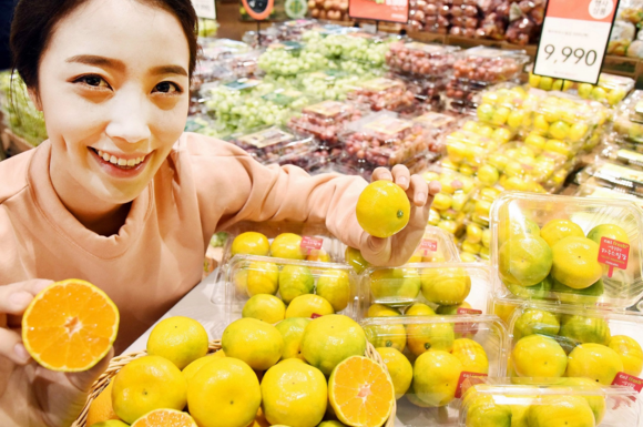 ▲ 28일 홈플러스 강서점에서 모델이 올해 대형마트 처음으로 출시된 '하우스 밀감'을 선보이고 있다. ⓒ홈플러스