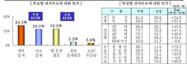 ▲ 안철수 후보 네거티브에 대한 인식