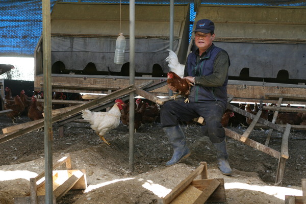 ▲ 영춘면 용진리에 있는 계용축산(대표 최순철).ⓒ단양군