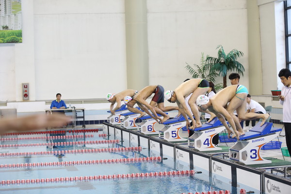 경북도민체육대회 수영종목에서 선수들이 힘찬 출발을 하고 있다.ⓒ영천시