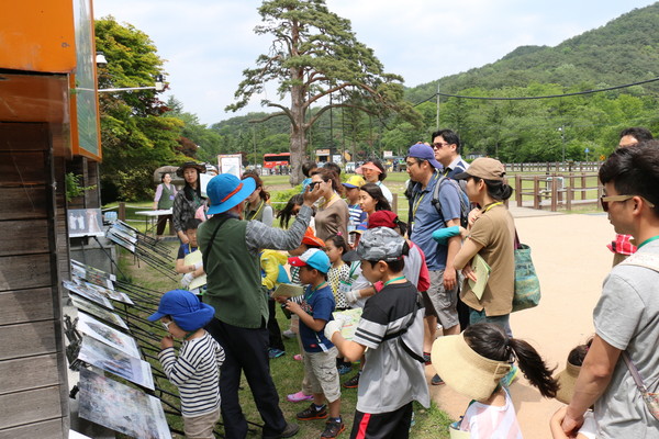 ▲ ‘정이품송으로 마실가자’ 지난해 행사 모습.ⓒ보은군