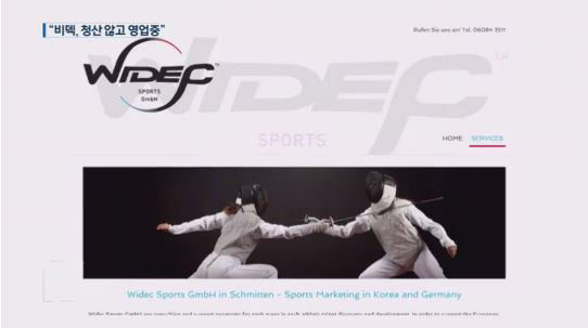 ▲ 비덱스포츠 홈페이지. ⓒ 조선닷컴