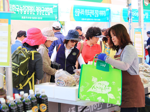 ▲ 제13회 영양산나물축제에서 관광객들이 산나물 등을 구입하고 있다.ⓒ영양군