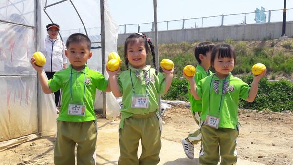 ▲ 이번 성주생명문화축제 하이라이트는 역시 참외따기 체험. 어린이들이 비닐하우스에서 참외를 딴 후 즐거워하고 있다.ⓒ성주군