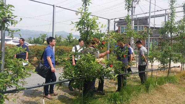 ▲ 중국 강소성 이싱시 환경기업인 붕요그룹 임직원이 지난 23일 경산종묘기술센터를 찾아 묘목 기술을 벤치마킹하고 있다.ⓒ경산시