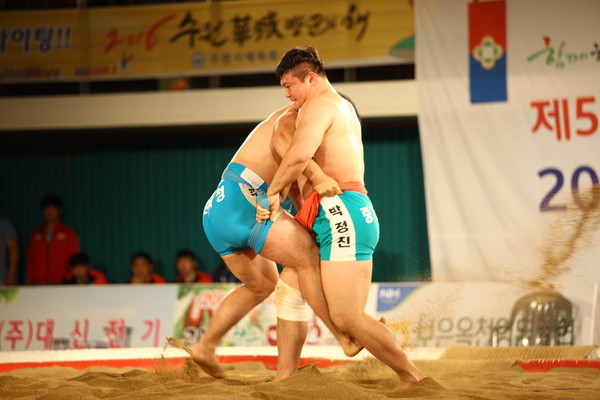 ▲ 지난해 보은 단오장사 씨름대회 모습.ⓒ보은군