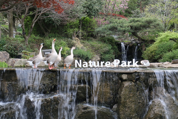 ▲ 리조트 스파밸리가 문화체육관광부와 한국관광공사가 공동 주관하는 한국형 웰니스관광 25선에 최종 선정됐다.ⓒ달성군