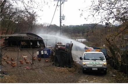 ▲ 대구시가 제주와 전북 등에서 AI 발생이 잇따르면서 예방에 총력을 기울이고 있다. 사진은 토종닭 농가 소독 전경.ⓒ대구시