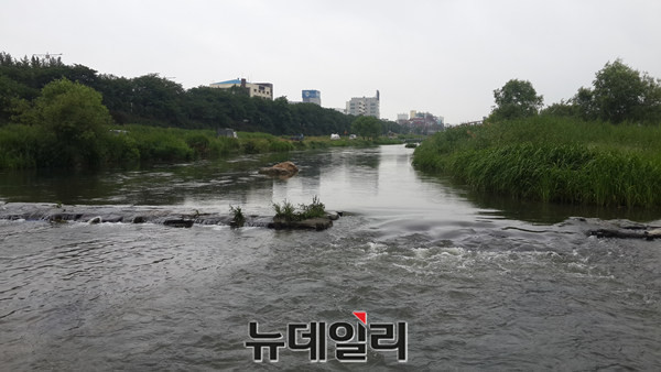 ▲ 7일 비온 뒤 청주 무심천 모습.ⓒ김종혁 기자