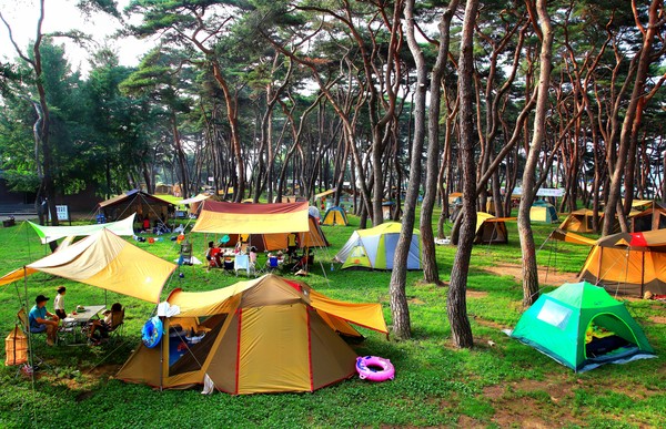 ▲ 송호관광지 야영장.ⓒ영동군