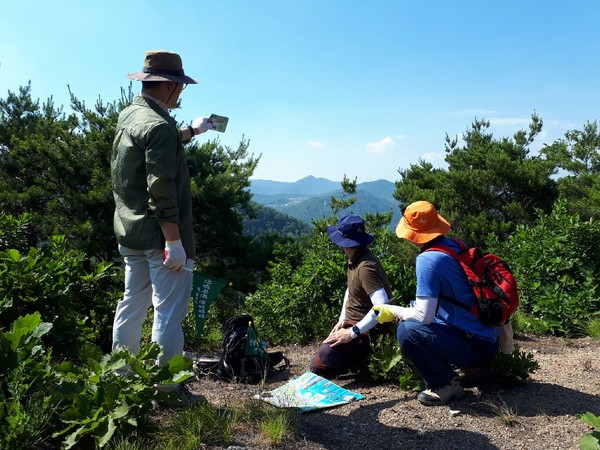 ▲ 영덕군은 6월부터 11월까지 지역 산림자원 재발견을 위한 현장탐방을 갖고 산림자원 발굴에 나선다.ⓒ영덕군