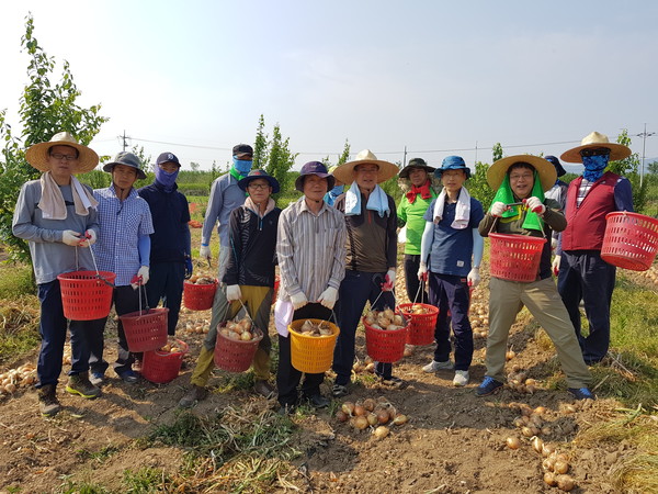 ▲ 의성군 시설관리사업소(소장 류장영)는 지난 16일 직원 15명이 참가한 가운데 단북면 노연리 농가에서 부족한 농촌일손 돕기에 나섰다.ⓒ의성군