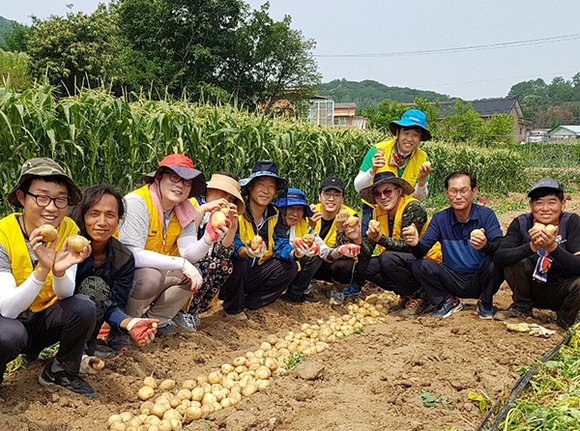 농협 상호금융 소비자보호부 직원들은 20일 경기도 포천시 농가를 찾아 농촌 일손을 도왔다. ⓒ 농협 상호금융