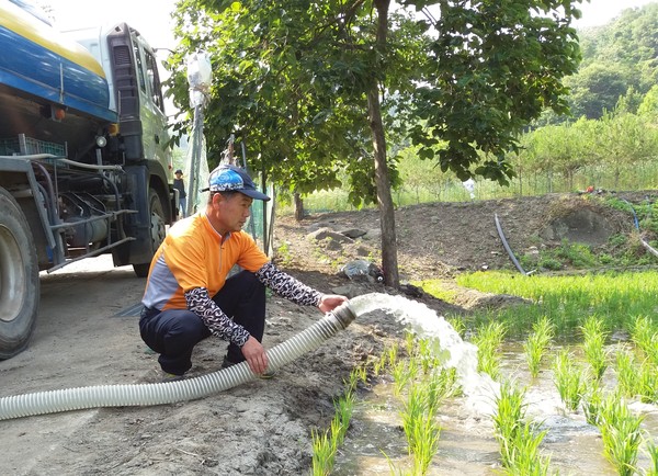 ▲ 군북면 보오리 박희성 이장이 22일 살수차를 통해 논에 물을 대고 있다.ⓒ옥천군