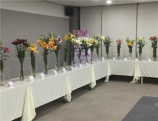 ▲ 서울 aT센터에서 있은 전국합동평가회 백합전시 모습.ⓒ충남도